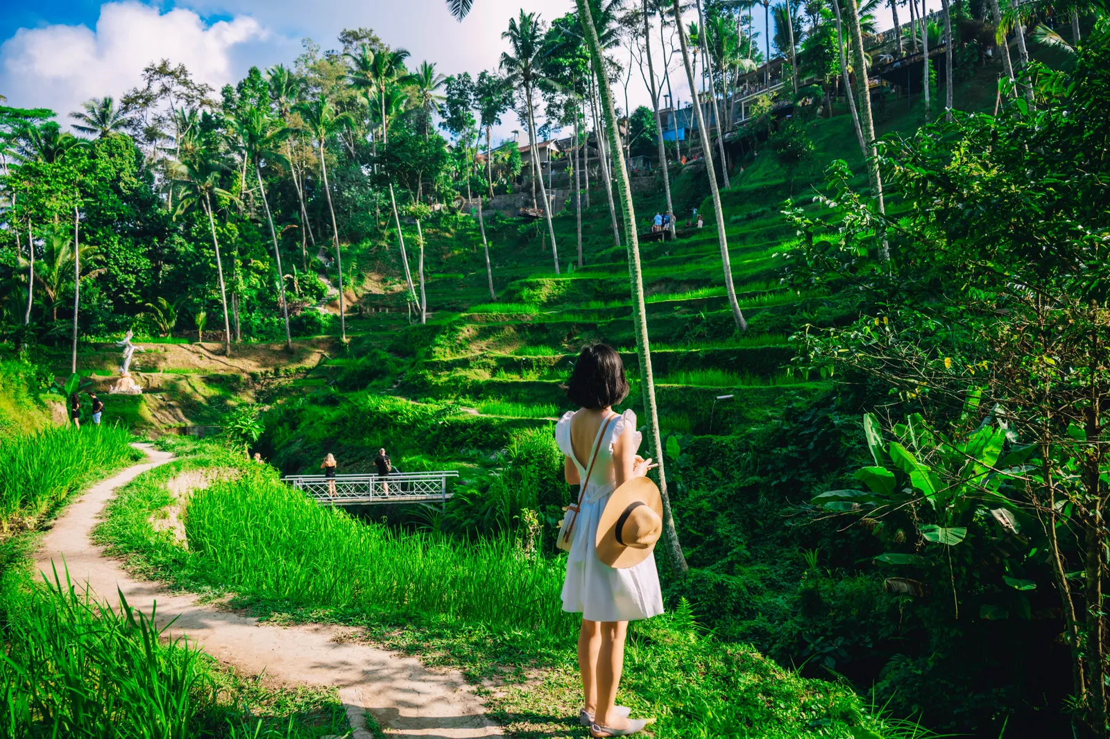 Woman looking out over the Tegallalang rice terraces in Ubud, Bali