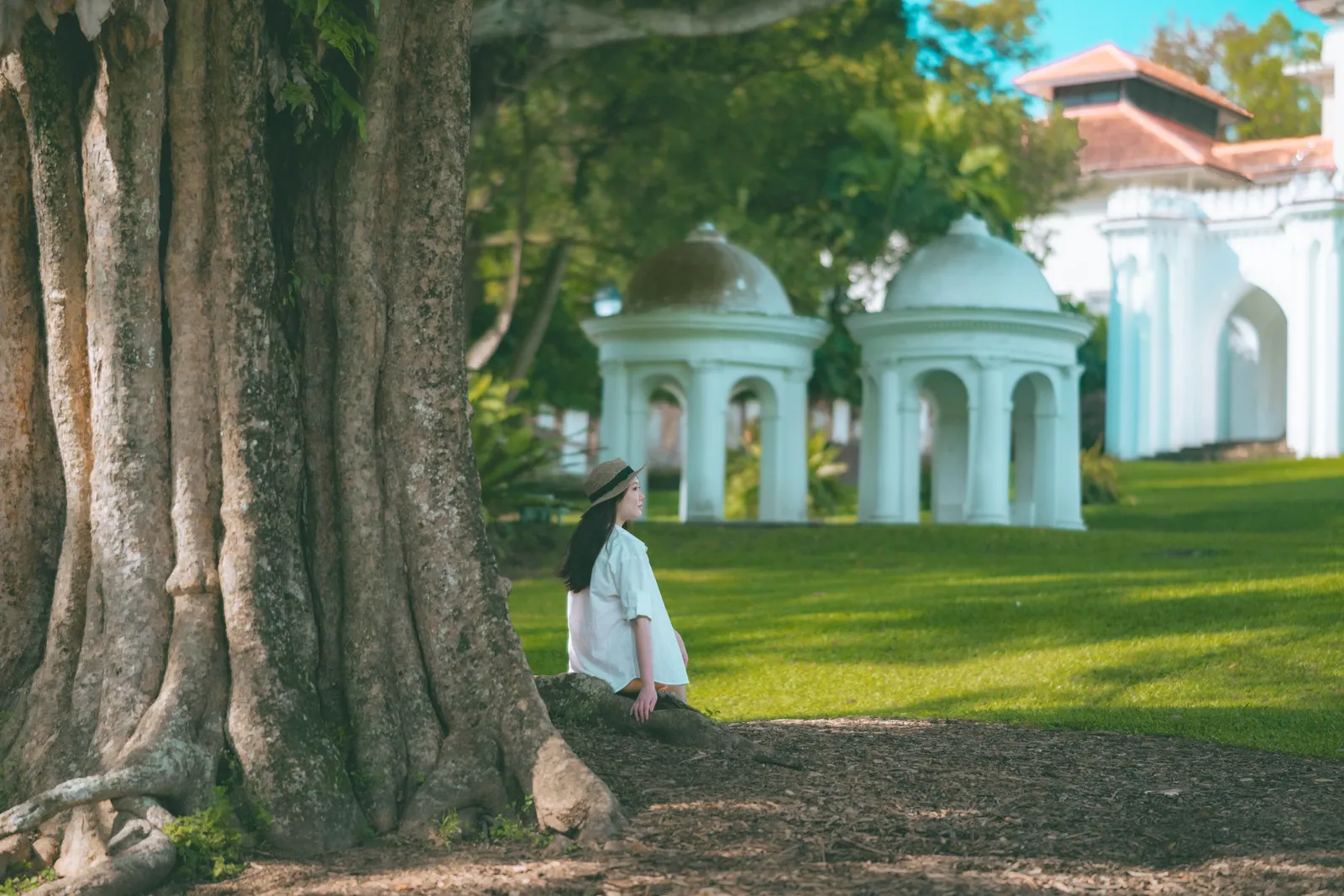 Woman in a white shirt and hat sitting at the base of a huge old tree, with white colonial cupolas and a lawn behind, Fort Canning Park
