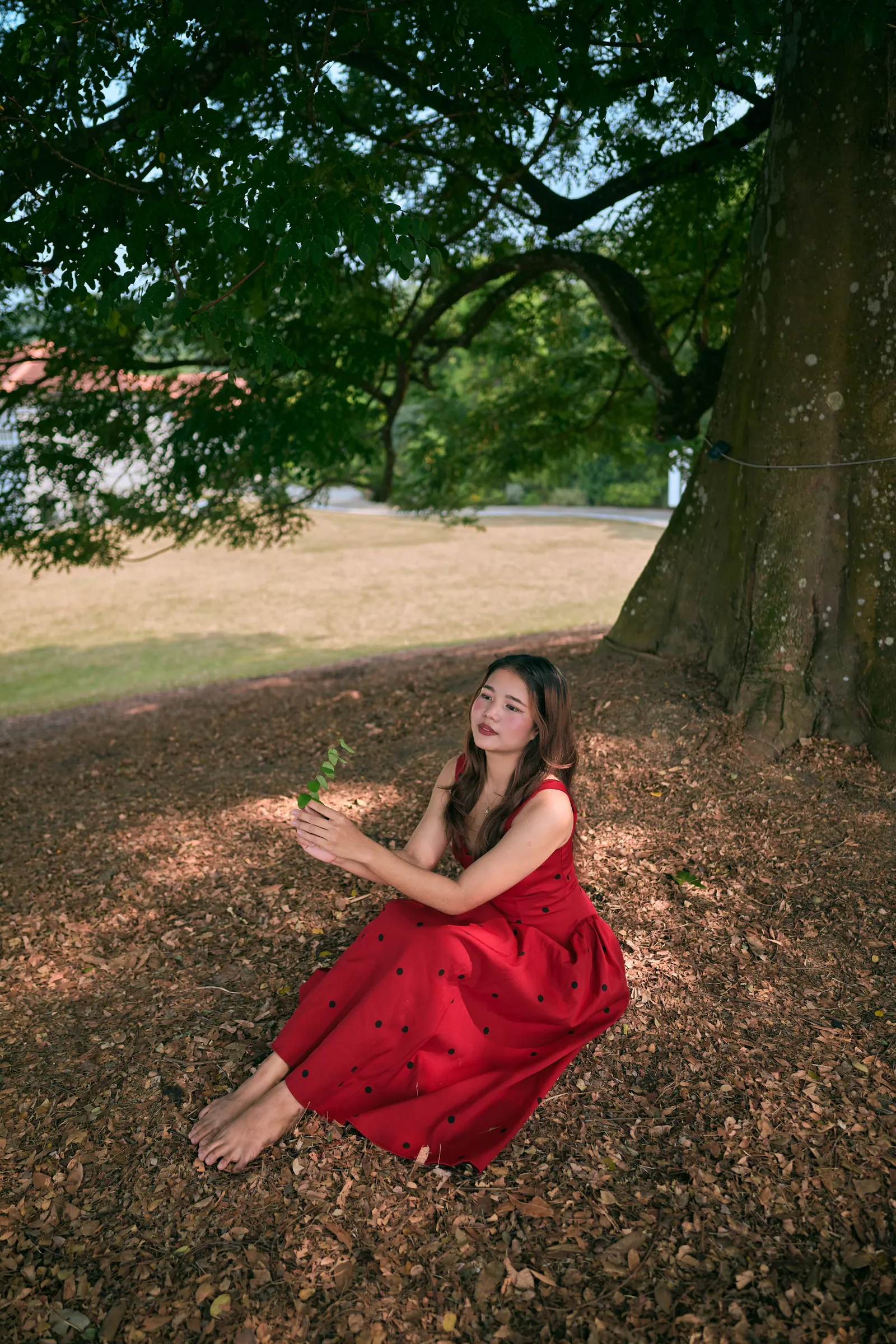 Woman in a red polka-dot dress sitting barefoot on fallen leaves under a giant old tree, holding a green sprig, Singapore Botanic Gardens